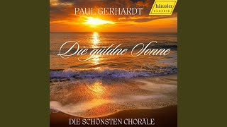 Christmas Oratorio BWV 248 Schaut hin dort liegt im finstern Stall [upl. by Hareemas]