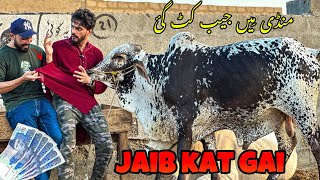 COW MANDI MAI JAIB KAT GAI 😭  QURBANI K PESE CHORI HOGAE  MISHKAT KHAN [upl. by Lucania970]