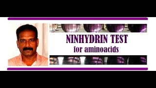 NINHYDRIN Test for Amino acids and Proteins [upl. by Ailugram]