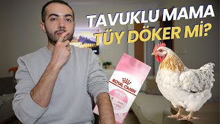 Tavuklu Mama Tüy Döker Mi TAVUKLU MAMA KULLANIMINDA NE OLUR [upl. by Nnaeinahpets561]