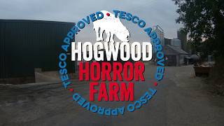 Hogwood Pig Farm 2018 [upl. by Anipsed]