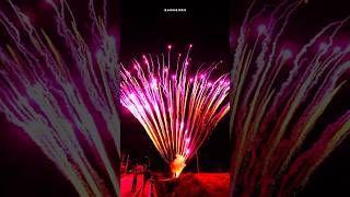 156 Shots Purple Peacock fireworkscake merrytimefireworks 美太156发紫孔雀 [upl. by Nohsyt]