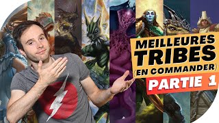 Les Meilleures Tribes Dans Magic En Commander Partie 1 [upl. by Korrie]