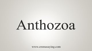 How To Say Anthozoa [upl. by Hedley305]