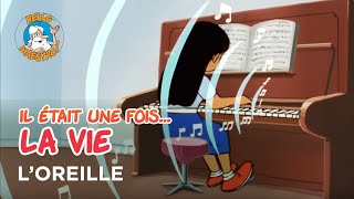 Il était une fois… la Vie 🌱 Loreille 👂 [upl. by Ainoda20]