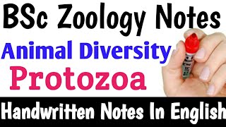 Protozoa BSc Zoology Animal Diversity Handwritten Notes in English [upl. by Nnayrrehs]