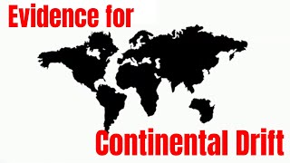 Evidence for Continental Drift [upl. by Tahmosh]