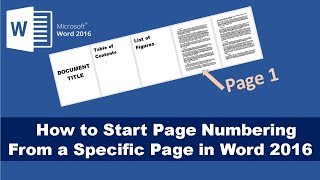 How to Insert Footnote in Word [upl. by Armand428]