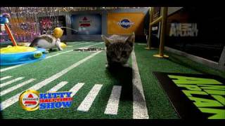 Puppy Bowl VI Kitty Halftime Show [upl. by Zink]