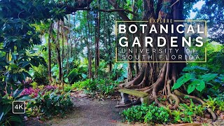 USF Botanical Gardens Relaxing Visual Tour with Soft Music  Peaceful Nature Views in 4K Ultra HD [upl. by Lana]