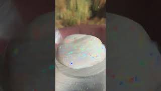 Precious Gem Opalized Shell from Coober Pedy South Australia [upl. by Ynnod]