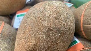 How to eat and cut open Mamey Sapote Fruit [upl. by Kev]