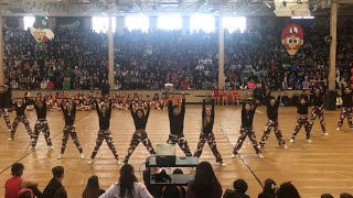 Chaffey High School Dance Team  Goodbye Rally 20182019  Purge Theme [upl. by Alliuqahs]