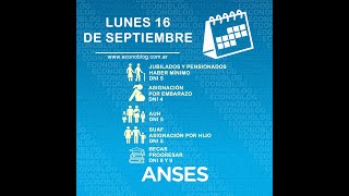 Cronograma de pagos de Anses del lunes 16 al viernes 20 de septiembre de 2024 [upl. by Welford]