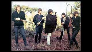 The Byrds  Mr Tambourine Man [upl. by Elcarim]