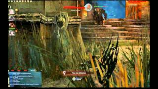 gramTV  Guild Wars 2  Ascalon Catacombs Walkthrough  Part 1  lets play  grampl [upl. by Hsirap]