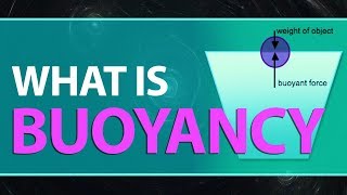 What is Buoyancy  Buoyant Force Definition  Examples  Explanation  Physics Concepts amp Terms [upl. by Levona117]