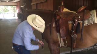 Dennis Moreland Tack How to Put a Running Martingale on a Horse [upl. by Eahc546]