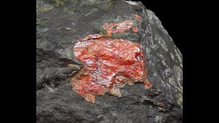 REALGAR  Hiszpania Asturia Pola de Lena Soterraña Mine Minerały amp skamieniałości [upl. by Demmahom725]