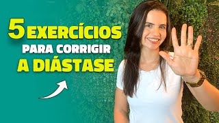 DIÁSTASE ABDOMINAL COMO CORRIGIR COM 5 EXERCÍCIOS vídeo 6 [upl. by Battiste514]