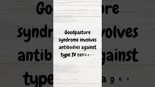 Understanding Goodpasture Syndrome  MRCP revision  shorts renalfailure respiratory autoimmune [upl. by Eirollam193]