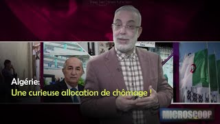 Algérie Une curieuse allocation de chômage [upl. by Delorenzo]