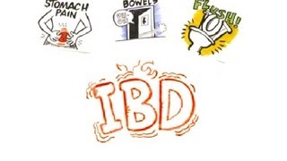 Inflammatory Bowel Disease IBD [upl. by Norty]