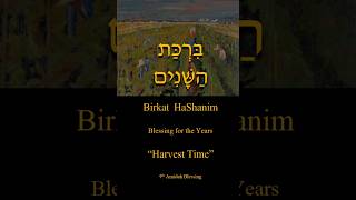 Food 9th Amidah Blessing  Birkat HaShanim  ברכת השנים [upl. by Harmonie]