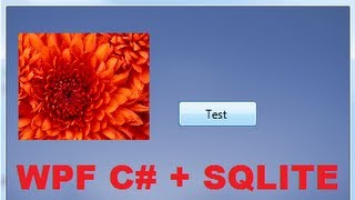 C WPF Tutorial 3 SQLite database connection with WPF C PART 12 [upl. by Ilrahs126]