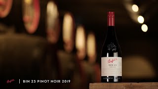 Meet our 2019 Bin 23 Pinot Noir  Penfolds [upl. by Darya576]