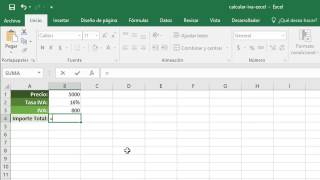 Cómo calcular el IVA en Excel [upl. by Elleined]