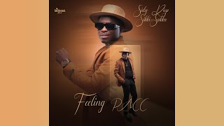 Sidy Diop  Feeling PACC Feat Astar Audio Clip Officiel  Un extrait de lalbum SIKKI SAKKA [upl. by Nylaf]