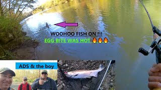 Awesome Salmon Fishing On WA Coast River [upl. by Tuckie]