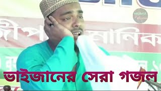 পীরজাদা আব্বাস সিদ্দিকী ভাইজানের সেরা হিন্দি গজল Abbas bhaijaner hindi gojol [upl. by Prichard]