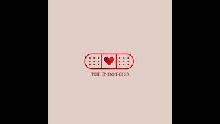 Dr Caroline Gargett X The Endo Echo [upl. by Alvinia322]