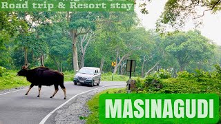 Masinagudi Road trip amp resort stay  മസിനഗുഡിയിലെ കാഴ്ച്ചകൾ  River valley resort Masinagudi [upl. by Adiesirb]