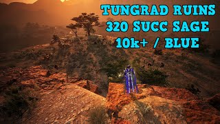 Tungrad Ruins  Succ Sage 320 AP  Black Desert Online [upl. by Allisurd]