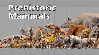 Size Comparison of Animals the Prehistoric Mammals [upl. by Sansen289]