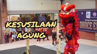 KESUSILAAN AGUNG 🥉  FESTIVAL BARONGSAI AMANAT KEBERAGAMAN JAKARTA  PETAK ENAM [upl. by Yezdnil446]