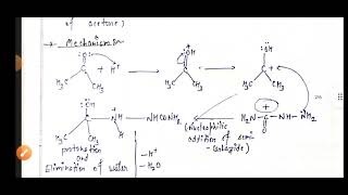 To determine the semicarbazone derivative of acetone collegebscpractical cbse [upl. by Julio]