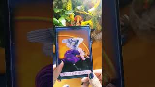 Angel guidance for my viewersshortsangel guidancetarot reading [upl. by Eirised]