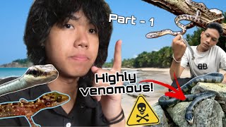 Herping vlog ep12part1Snakes everywhere 🐍 [upl. by Lindie]