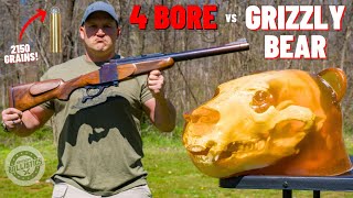 4 BORE Rifle vs Grizzly Bear 🐻 The Biggest Rifle Ever [upl. by Enaej]