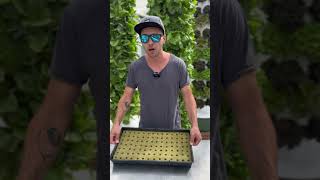 Vertical farming Strategies🌱🥬 verticalfarming towergarden strategy agriculture hydroponics [upl. by Anwahs124]