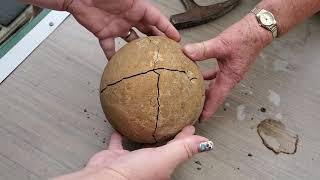 Breaking open Grandmas sandstone rock from 45 years ago FOSSIL INSIDE [upl. by Acinok199]