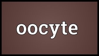 Oocyte Meaning [upl. by Miculek]