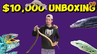 Unreal 10000 Reptile Unboxing [upl. by Isaac440]