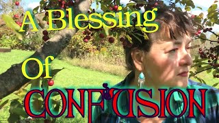 A Blessing of Confusion [upl. by Manuel]