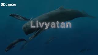 Otodus Megalodon vs Livyatan Parity [upl. by Kinemod]