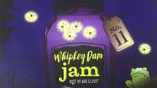 Dam Jam 11 [upl. by Anegal]